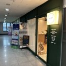 올리브영 분당야탑점 이미지