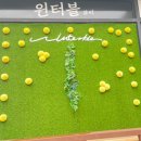 윈터블뷰티