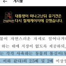 양산시 유기견 보호소 57억 쏟아부었는데 강아지들 다 지하감옥에 가둬놓네 이미지