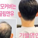 끌림앤유 - 8561 | 끌림앤유