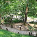 자연미림 이미지