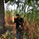 청사랑약국 이미지