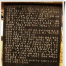 진도개 사랑 이미지