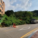 수원권선꿈에그린 버스정류장 이미지