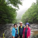지리산산밭골