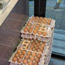 신선마트 정육점 | [청년미트 쌍용점] 신선한 고기 가득한 천안 정육점 추천