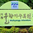 향기2로 이미지
