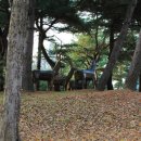 우제류를위하여 이미지