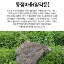 동점마을 암각문 이미지