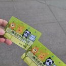 중국 대련 여행 I 대련삼림동물원 I 판다 페이윈, 진후, 먀오인