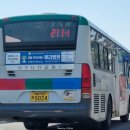 추정3리 이미지