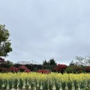 제주생활체육공원 | 제주 휴애리자연생활공원 아이랑 방문 후기