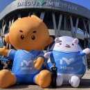 셋골세천 | 또 세드가야!!! (대구FC vs 전남드래곤즈 축구 직관 후기)