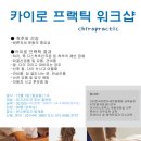 12월1일(일) 1th 요가 카이로 프랙틱 워크샵 - (사) 바른자세운동협회 이미지