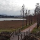 경포삼거리 이미지