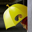 아이디어 우산 특집 이미지