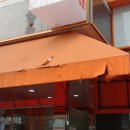 프라하동물병원 이미지