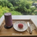 장성 | 광주 근교 데이트 맛집 장성 블롬 내돈내산 후기