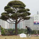 용산-187 이미지