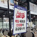 패밀리(FAMILY) | 2026 한섬 패밀리세일 (HANDSOME FAMILY SALE) ｜세텍(SETEC) 오픈런 후기 대기시간·입장방법·준비물...