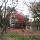 동촌유원지 가을풍경 이미지