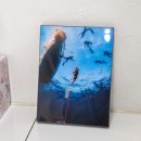 부산 프리다이빙 강습 :: 블루독 교육센터 체험다이빙 방문