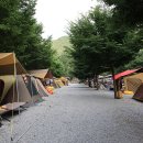 내리계곡 솔밭캠핑장 이미지