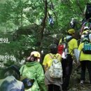 용문산 둥지 이미지