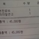 다사종합동물병원 네이버블로그
