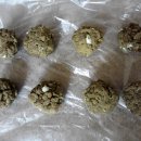 도담도담동물병원 이미지