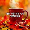 은행나무 (단풍)[2023년 11월 10일(음: 9월 27일)일출 7시 05분.일몰17시27분] 이미지