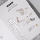 백작헤어라인
