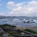 체육관 삼거리 이미지