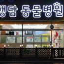 어썸펫동물병원 이미지