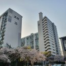 미성상가 앞 이미지