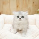 부천민박 이미지