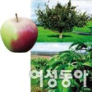 에이뉴 이미지
