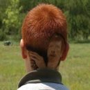 스타헤어랜드