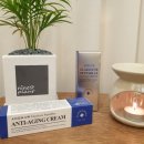 주식회사 메디안스 이미지