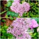 클레오파트라 뷰티살롱