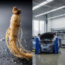 (주)금산현대서비스 | 인삼 효능 | 현대차 춘천 서비스: 블루핸즈 &amp; 금산인삼