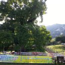 천태산주차장 이미지