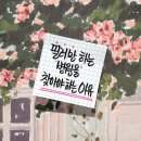 뉴페이스의원