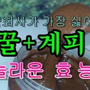 꿀 + 계피 놀라운효능 이미지