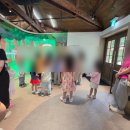 오색종이신나는작은도서관 | 260620 비오는날 용산어린이정원, 보보의집 &amp; 국립목재문화체험장 목공체험