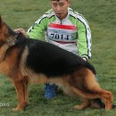 316009 Daum카페