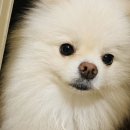 별빛동물병원 이미지