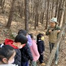 가천초등학교병설유치원 이미지