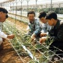 미암농장 이미지