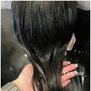 수진헤어리더